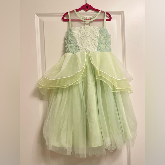 Trish Scully 🐸 👑 Disney Princess Tiana/Princess and the Frog Magical Gown EUC - Picture 6 of 12